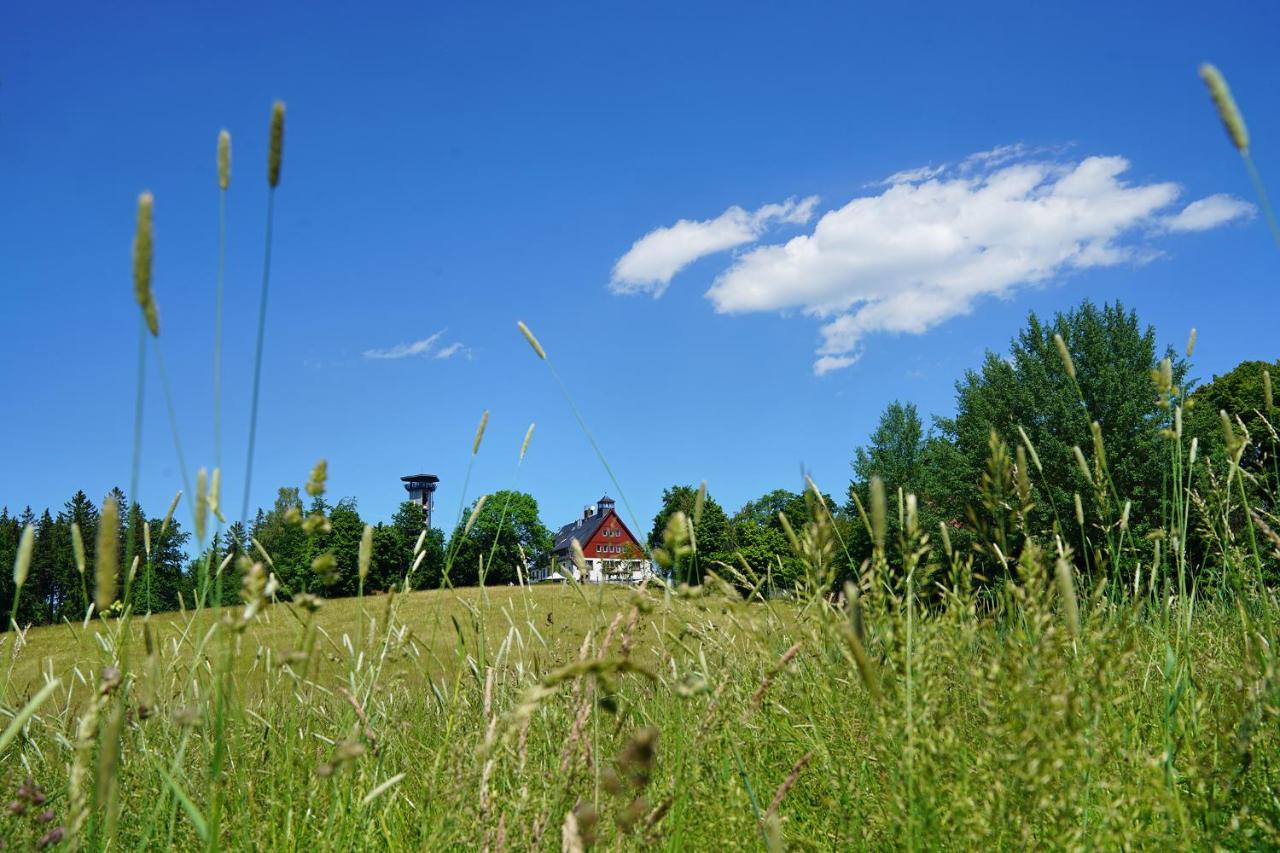 Hotel Und Restaurant Buehlhaus Eibenstock Eksteriør billede