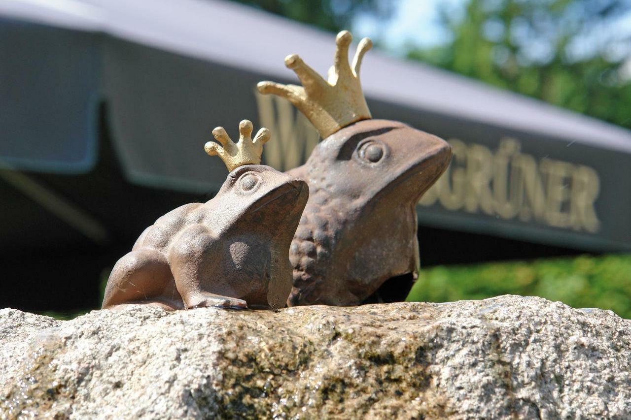 Hotel Und Restaurant Buehlhaus Eibenstock Eksteriør billede